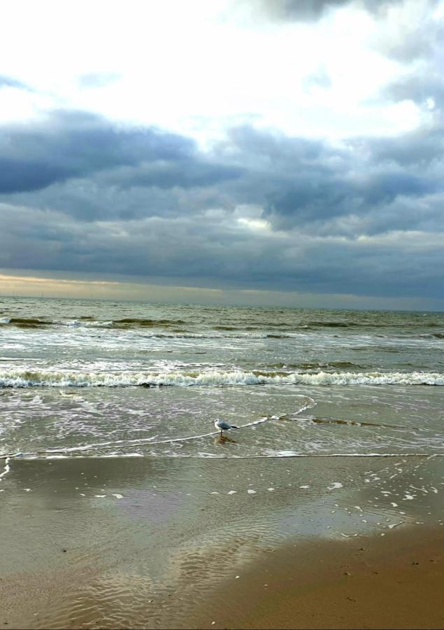 Zeelui Hotell Egmond aan Zee Exteriör bild
